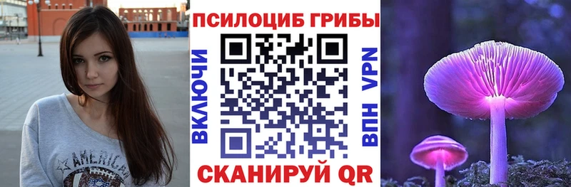 Галлюциногенные грибы Psilocybe  Купить где  Вичуга 